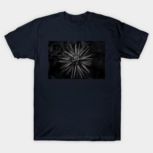 Photograph - Natural Symmetry: An Artistic View of a Spiky Plant T-Shirt